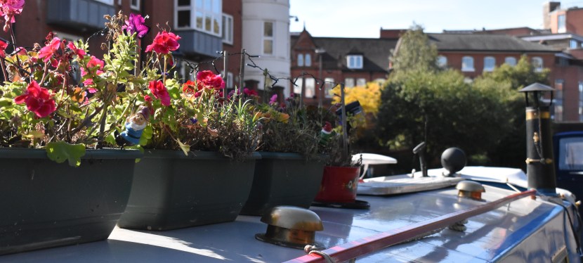 How do IHNs&nbsp;operate?