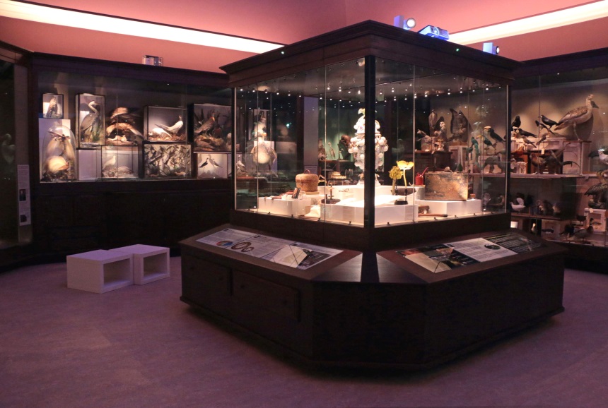 Cabinet of Curiosities